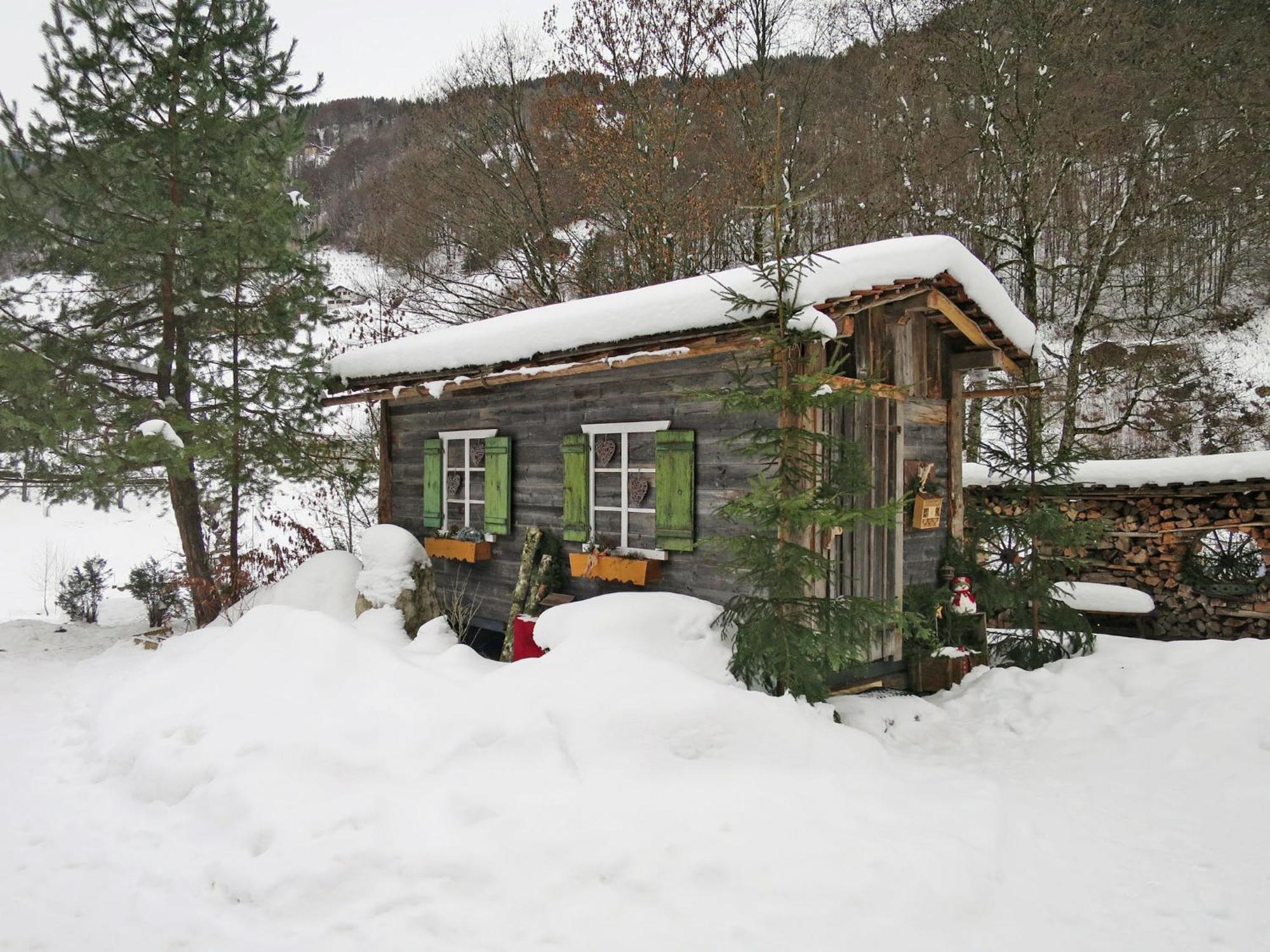 Holiday Home Alpenchalet Silbertal By Interhome المظهر الخارجي الصورة